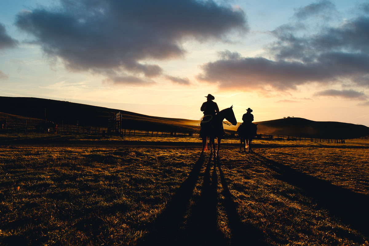 4N Ranch | Western Wear, Cowboy Hats & Horse Tack – 4NRanch