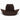 4X Day Money Cowboy Hat - RESISTOL Cowboy Hats