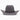 4X Day Money Cowboy Hat - RESISTOL Cowboy Hats