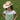Road Runner Jr - Youth Fashion Hat - Charlie 1 Horse